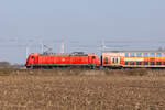 DB Regio mit einem Gebraucht Dosto Wagenpark und der 146 267-0 zwischen Diepholz und Lemförde nach Osnabrück.