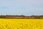 RE 9 mit Br 146 bei Gessel nach Syke/Osnabr�ck. 26.4.26