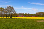 146 267-0 als RE 9 bei Twistringen nach Bremen. 26.4.26