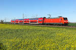 146 030 in DB rot nach Magdeburg am 23.4.26 bei Niemberg.