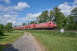 Blasser Lack und zahlreiche ausgebesserte Stellen - 146 252 k�nnte mit Sicherheit mal einen neuen Anstrich vertragen. Am 08.05.2026 zog die Lok RE 4527 von Bebra nach Frankfurt. Das sch�ne Fr�hlingswetter lie� die Maschine noch sch�biger erscheinen.

