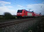 RB 31087 nach Mhlheim(Baden) gezogen von 146 116-9.21.10.08