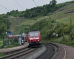 146 113-6 am 2. Juni 2010 mit einem RE nach Basel in Istein.