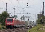 146 018-7 mit dem RE5 aus Koblenz nach Emmerich kurz hinter Sechtem, 9.8.10