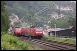 Zugkreuzung bei Königstein im Elbtal am 25.5.2016: Rechts schiebt 146025 ihren Dosto Richtung Dresden. Links kommt 146014 mit ihrem Dosto in Richtung Bad Schandau.