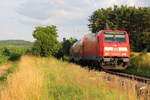 146 241-5 DB Regio bei Ebersdorf bei Coburg am 28.09.2012.