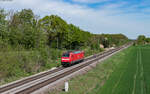 146 233  Donaueschingen  als Tfzf 706**	(Offenburg - Freiburg Hbf) bei Friesenheim 11.4.24