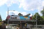  Saxonia auf Stange.  Mitten in Dresden trifft Eisenbahngeschichte auf moderne Elektromobilit�t. An den Seitenfl�chen der DB 146 025 Lok f�hrt die ber�hmte „Saxonia“ mit – jene Lokomotive, die einst als erste betriebsf�hige Dampflokomotive Deutschlands Geschichte schrieb. Heute begegnet sie uns nicht mehr auf den Schienen, sondern als rollendes Motiv bei der S-Bahn Dresden. Zwischen Oberleitung, Stra�enbahn und S-Bahn verbindet dieses Bild Vergangenheit und Gegenwart auf besondere Weise. Hier zusehen mit der S 31738 (S1) von Bad Schandau nach Mei�en Triebischtal, am 06.08.2026 in Dresden-Strehlen.