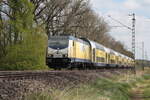 Am 25.05.2026 zog 146 534-3 ihre Regionalbahn nach Bremen (Aufgenommen auf einem weg , westlich vom Bahnhof Sagehorn.)