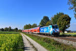 146 245 mit einem RE am 28.09.2018 bei Langenisarhofen.