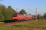 146 229-0  Europapark Rust  mit dem RE 29005 (St.Georgen(Schwarzw)-Konstanz) bei Pfohren 1.6.21