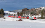 146 231  Heimattage Radolfzell  mit dem RE 4719 (Karlsruhe Hbf - Konstanz) bei St.Georgen 29.11.23
