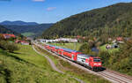 146 230  750 Jahre Radolfzell  mit dem RE 4727 (Karlsruhe Hbf - Villingen) bei Gutach 2.10.25