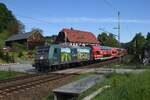 146 010 am 06.05.25 zwischen Rathen und K�nigstein