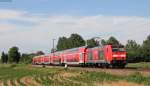 146 236-5  Triberg/Schwarzwaldbahnerlebnispfad  mit dem RE 5345 (Offenburg-Schliengen) bei Riegel 13.6.14