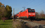 146 028 führte am 10.11.19 einen RE aus Magdeburg mit Ziel Halle(S) durch Greppin.