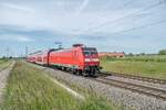 146 019-5 ist am 01.06.2021 als RE 30 bei Braschwitz in Richtung Magdeburg/Hbf.