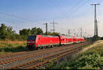 146 011-2 ist unterwegs an der bekannten Fotostelle in Großkorbetha.

🧰 Elbe-Saale-Bahn (DB Regio Südost)
🚝 RE 4883  Saale-Express  (RE18) Halle(Saale)Hbf–Jena-Göschwitz
🕓 14.7.2023 | 7:24 Uhr