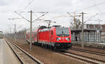 DB Regio 147 004 // Falkensee // 29. März 2019
