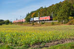 152 095 mit einem Containerzug bei Oberdachstetten Richtung Ansbach, 19.09.2019