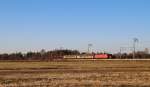 Eine 152 fuhr am 27.03.2013 mit einem Autozug von Emden nach Osnabrck, hier bei Veenhusen.