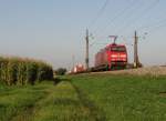 152 008 zu sehen am 16.09.14 in Neu-Ulm.