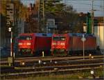 Nasenvergleich. 152 103-8 und 185 177-3 mit sanft beleuchter Nase in Singen. Oktober 2014.