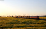 152 060-0 mit einem Containerzug bei Lindhorst 7.5.16