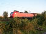 Habe noch was brauchbares im Archiv gefunden.
Am 12.09.2006 kommt 152 151-7 mit einem langen Zug aus Fals-Wagen an mir vorbei. In wenigen Minuten wird sie Sarstedt erreichen. Aufnahmepunkt war an der berfhrung der ICE-Trasse nrdlich von Barnten.