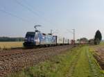 Die 152 138 mit einem Containerzug am 08.10.2013 unterwegs bei Batzhausen.