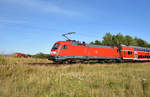 Nicht nur der RE1 mit der 182 012-5 als Schiebelok war im vollem Einsatz. Genauso die Landwirte waren bei der Kartoffelernte mit allem Einsatz dabei. 3km östlich von Büchen, 06.08.2018.