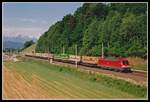 182 010 mit Güterzug bei Terfens am 14.05.2002.