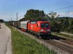 Die 182 013 am 11.09.2010 mit einem Gterzug unterwegs bei Vilshofen. 