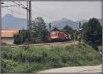 182 015 bringt im Sommer 2005 einen Kombizug von Mnchen zum Brenner.