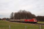 182 018 mit einem Gterzug bei Grokarolinenfeld (06.03.2007)