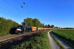 182 524 mit einem Containerzug am 29.09.2018 bei Langenisarhofen. 