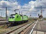 IGE/FlixTrain ES 64 U2-037 (91 80 6182 537-1 D-DISPO) am 04.08.2021 in Leipzig Hbf.