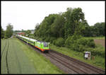 Flix Train mit Taurus 242531 ist hier am 24.5.2024 um 11.30 Uhr auf der Rollbahn in Osnabrück-Hellern nach Hamburg unterwegs.