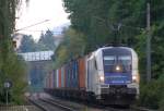 ES 64 U2 - 024 mit einem Containerzug auf der Franz-Josefs Bahn zwischen Klosterneuburg und Kritzendorf. 07.10.10