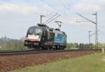 Am 1.Mai 2013 war MRCE/ETCS-Trainguard ES64U2 067 bei Burgstemmen (KBS 350) als Tfzf auf dem Weg Richtung Sden.