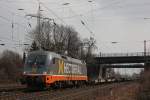 Hectorrail 242.516  Ferdinand  am 30.3.13 mit einem KLV in Oberhausen-Osterfeld Sd.