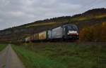 ES 64 U2-099 (182 599) mit einen Aufliegerzug Richtung Sden am 24.10.13.