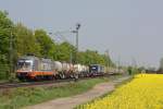 Hectorrail 242.516  Ferdinand  am 4.5.13 mit einem KLV nach Ehrang in Menden.