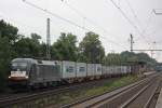 MRCE Dispolok/WLC ES 64 U2-037 am 8.8.13 mit einem Containerzug in Dedensen-Gmmer.