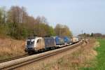 ES 64 U2 - 064 (WLC) mit KLV-Zug bei Gutmart (01.04.2014)