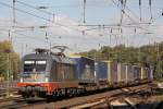 Hectorrail 242.517  Fitzgerald  am 24.10.13 mit einem KLV in Ratingen-Lintorf.