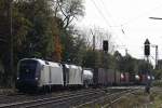 WLC ES 64 U2-066 mit MRCE/ERS 185 573 und KLV am 26.10.13 in Ratingen-Lintorf.