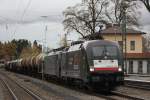 MRCE Dispolok/TXL ES 64 U2-099 mit MRCE Dispolok/TXL ES 64 F4-038 am 9.11.13 mit einem Weinzug in Aßling (Obb.).