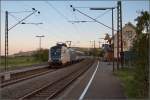 Der Taurus der Wiener Lokalbahnen Cargo hatte den späten Vogel belohnt. 182 524-9 fährt in Welschingen um die Kurve, in der die Steigung zur europäischen Wasserscheide beginnt. August 2014