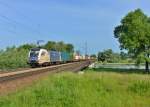 182 568 mit DGS 41131 am 31.05.2015 auf der Isarbrücke bei Plattling.